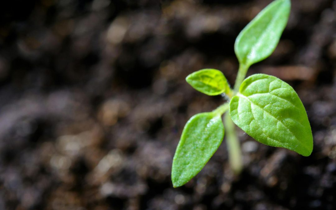 How to Align Your Supplier Diversity Program with ESG Goals
